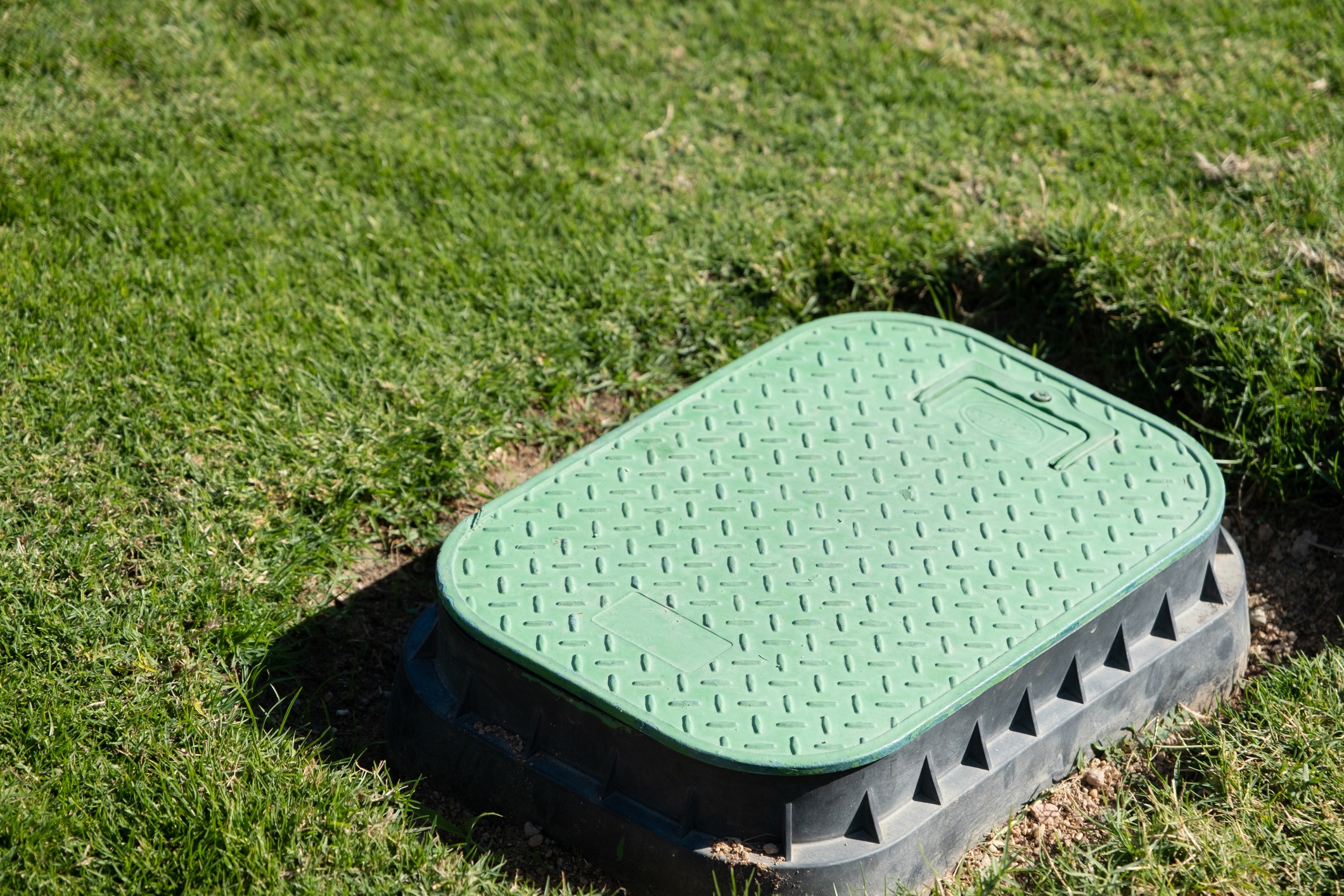 Green utility box lid on grass